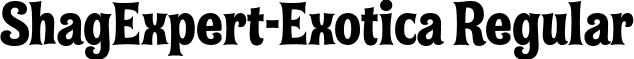 ShagExpert-Exotica Regular font - ShagExpert-Exotica.otf