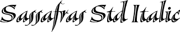 Sassafras Std Italic font - SassafrasStd-Italic.otf