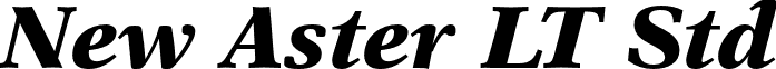 New Aster LT Std font - NewAsterLTStd-BlackIt.otf