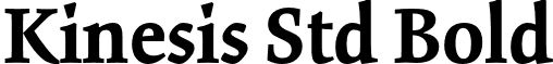 Kinesis Std Bold font - KinesisStd-Bold.otf