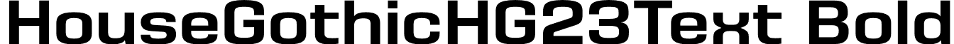 HouseGothicHG23Text Bold font - HouseGothicHG23Text-Bold.otf