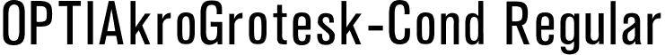 OPTIAkroGrotesk-Cond Regular font - OPTIAkroGrotesk-Cond.otf