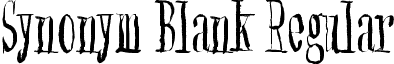 Synonym Blank Regular font - Synonym_Blank.ttf