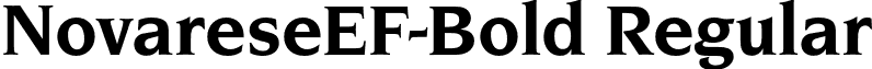 NovareseEF-Bold Regular font - NovareseEF-Bold.otf