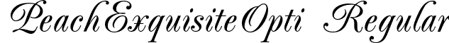 PeachExquisiteOpti Regular font - PeachExquisiteOpti.otf