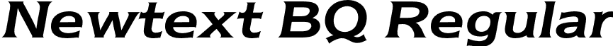 Newtext BQ Regular font - NewtextBQ-DemiItalic.otf