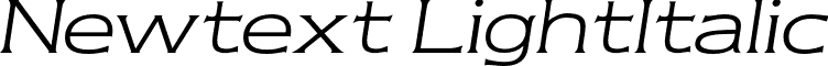 Newtext LightItalic font - NewtextLightItalic.otf