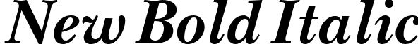 New Bold Italic font - New_Bold_Italic.ttf