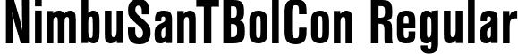 NimbuSanTBolCon Regular font - NimbusSansT-BoldCondensed.otf