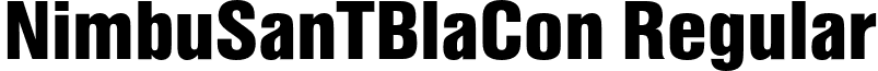 NimbuSanTBlaCon Regular font - NimbusSansT-BlackCondensed.otf