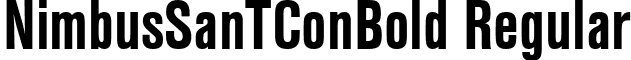 NimbusSanTConBold Regular font - NimbusSanTConBold.ttf