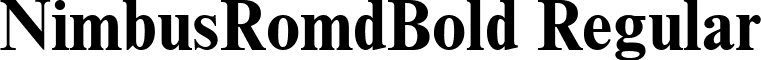 NimbusRomdBold Regular font - NimbusRomdBold.ttf