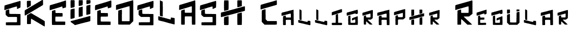 SKEWEDSLASH Calligraphr Regular font - SKEWED_SLASH.ttf