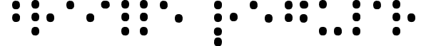 braille Regular font - braille.ttf