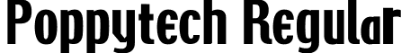 Poppytech Regular font - Poppytech.ttf