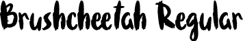 Brushcheetah Regular font - Brushcheetah.otf