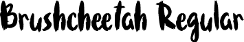 Brushcheetah Regular font - Brushcheetah.ttf