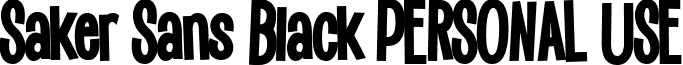 Saker Sans Black PERSONAL USE font - SakerSansBlack_PERSONAL_USE.ttf