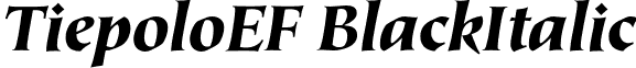 TiepoloEF BlackItalic font - TiepoloEF-BlackItalic.otf