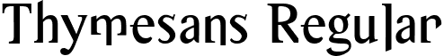 Thymesans Regular font - Thymesans96.ttf