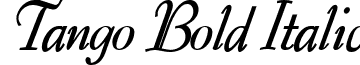 Tango Bold Italic font - Tango_Bold_Italic.ttf