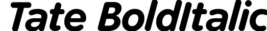 Tate BoldItalic font - Tate-BoldItalic.otf