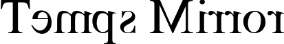 Temps Mirror font - Temps-Mirror_Medium.ttf