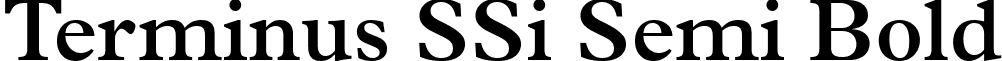 Terminus SSi Semi Bold font - Terminus_SSi_Semi_Bold.ttf