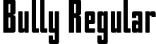 Bully Regular font - Bully.otf