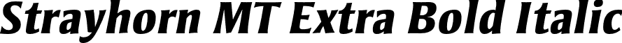 Strayhorn MT Extra Bold Italic font - StrayhornMT-ExtraBoldItalic.otf