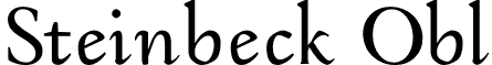 Steinbeck Obl font - SteinbeckFC-Obl.otf