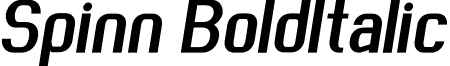 Spinn BoldItalic font - Spinn-BoldItalic.otf