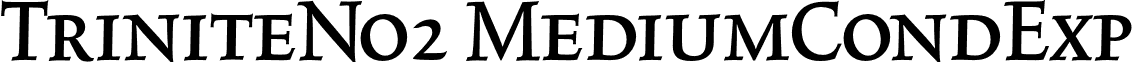 TriniteNo2 MediumCondExp font - TriniteNo2-MediumCondExp.otf