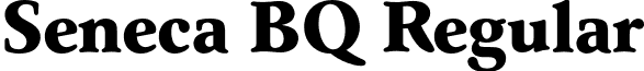 Seneca BQ Regular font - SenecaBQ-Bold.otf