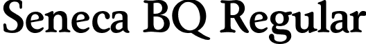 Seneca BQ Regular font - SenecaBQ-Medium.otf