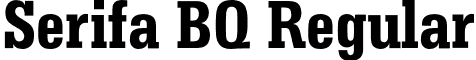 Serifa BQ Regular font - SerifaBQ-CondensedMedium.otf