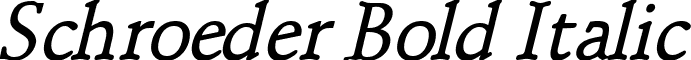 Schroeder Bold Italic font - Schroeder_Bold_Italic.ttf