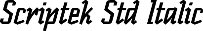 Scriptek Std Italic font - ScriptekStd-Italic.otf