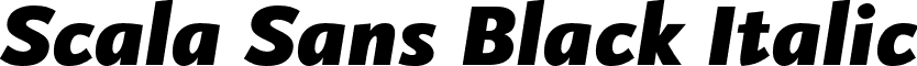 Scala Sans Black Italic font - ScalaSans-BlackItalic.otf