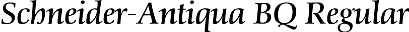 Schneider-Antiqua BQ Regular font - SchneiderAntiquaBQ-Italic.otf