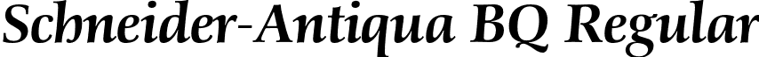 Schneider-Antiqua BQ Regular font - SchneiderAntiquaBQ-MediumItalic.otf
