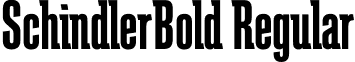 SchindlerBold Regular font - SchindlerBold.otf