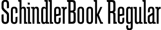 SchindlerBook Regular font - SchindlerBook.otf