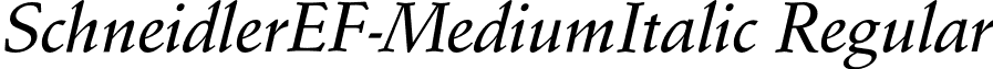 SchneidlerEF-MediumItalic Regular font - SchneidlerEF-MediumItalic.otf