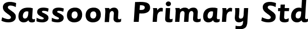 Sassoon Primary Std font - SassoonPrimaryStd-Bold.otf