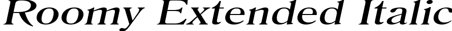 Roomy Extended Italic font - Roomy_Extended_Italic.ttf