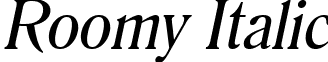 Roomy Italic font - Roomy_Italic.ttf