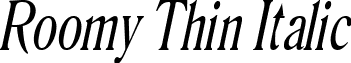 Roomy Thin Italic font - Roomy_Thin_Italic.ttf