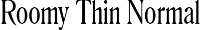 Roomy Thin Normal font - Roomy_Thin_Normal.ttf