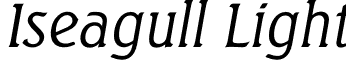 Iseagull Light font - Iseagull-Light.otf